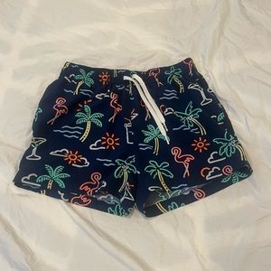 Chubbies “the neon lights” Boardshorts